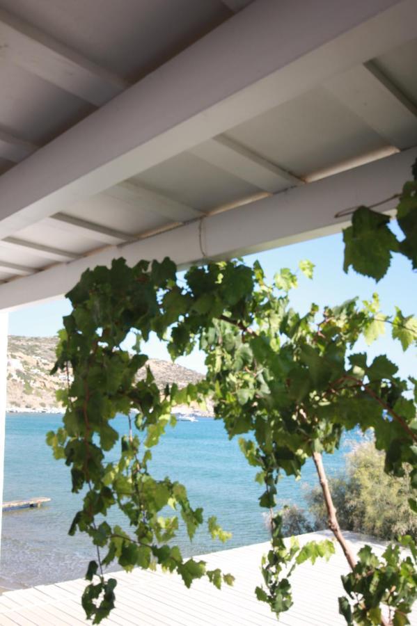 Cyclades Beach Apartments Chrisopigi  外观 照片